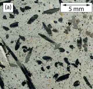 Optical micrograph of the free surface of a Fiberstone sample produced at normal condition.