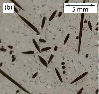 Optical micrograph of the free surface of a Fiberstone sample produced at 10MPa